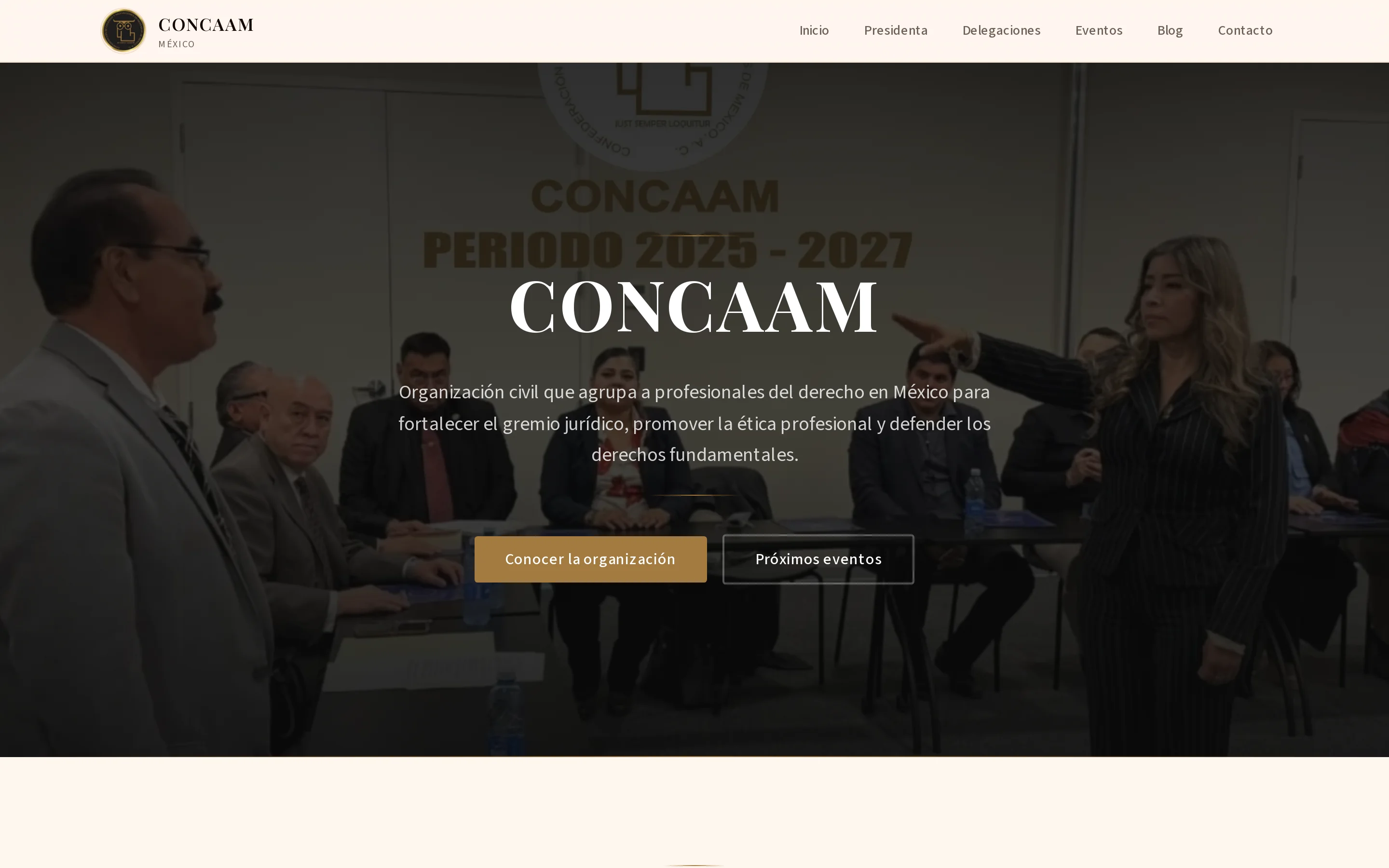 Screenshot of CONCAAM México